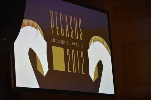 USEF-1-18-19-2013-9522-DDeRosaPhoto