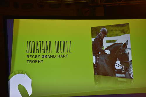 USEF-1-18-19-2013-9554-DDeRosaPhoto