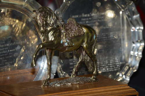 USEF-1-18-19-2013-8804-DDeRosaPhoto