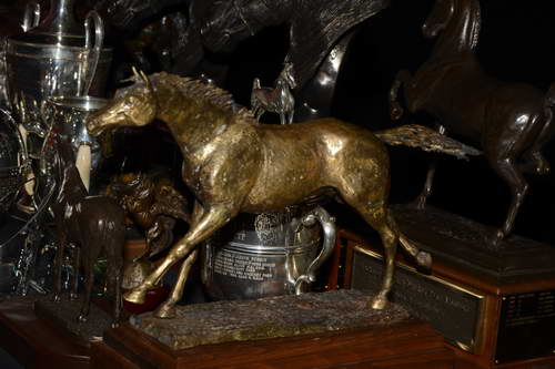 USEF-1-18-19-2013-8809-DDeRosaPhoto