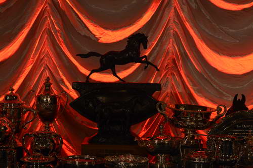 USEF-1-18-19-2013-8839-DDeRosaPhoto