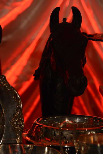 USEF-1-18-19-2013-8841-DDeRosaPhoto