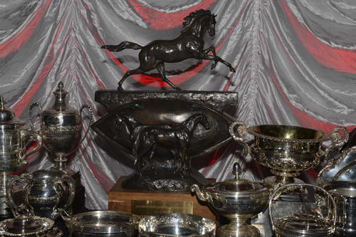 USEF-1-18-19-2013-8857-DDeRosaPhoto