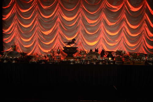 USEF-1-18-19-2013-8864-DDeRosaPhoto