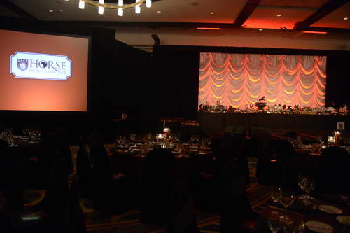 USEF-1-18-19-2013-8875-DDeRosaPhoto