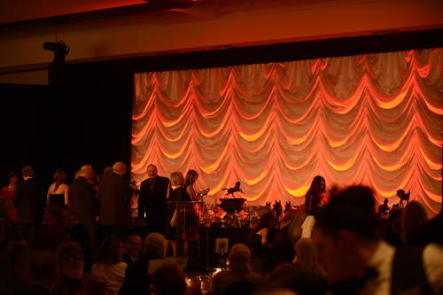 USEF-1-18-19-2013-9036-DDeRosaPhoto