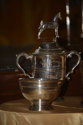 USEF-1-18-19-2013-9376-DDeRosaPhoto