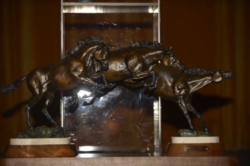 USEF-1-18-19-2013-9381-DDeRosaPhoto