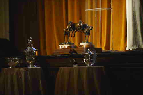 USEF-1-18-19-2013-9578-DDeRosaPhoto