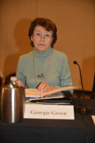 GeorgieGreen-USEF-1-18-19-2013-9162-DDeRosaPhoto