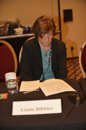 LindaBibbler-USEF-1-18-19-2013-9217-DDeRosaPhoto