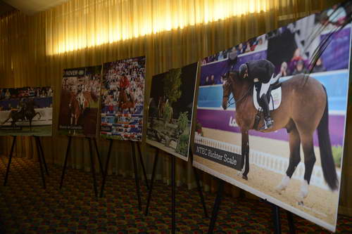 USEF-1-18-19-2013-8910-DDeRosaPhoto