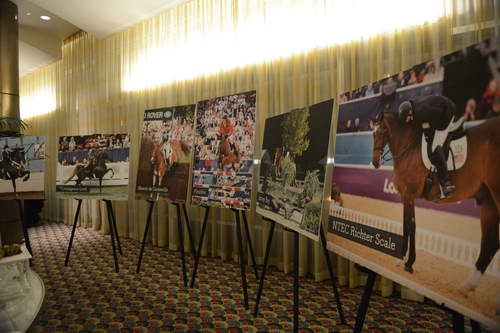 USEF-1-18-19-2013-8912-DDeRosaPhoto