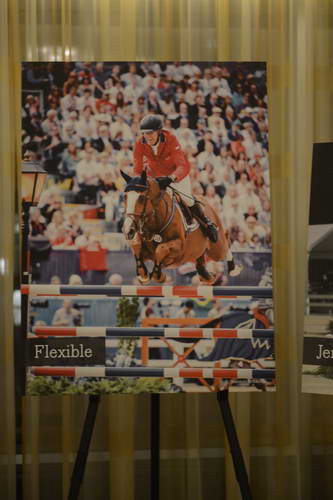 USEF-1-18-19-2013-8943-DDeRosaPhoto