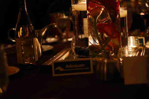 USEF-1-18-19-2013-9043-DDeRosaPhoto