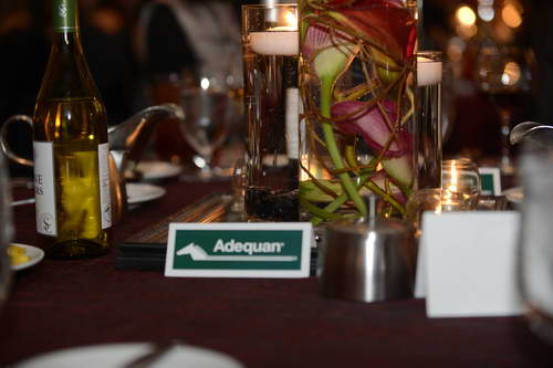 USEF-1-18-19-2013-9046-DDeRosaPhoto