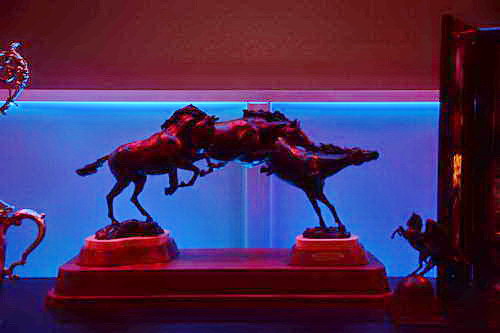 USEF-1-10-14-Pegasus-6382-DDeRosaPhoto