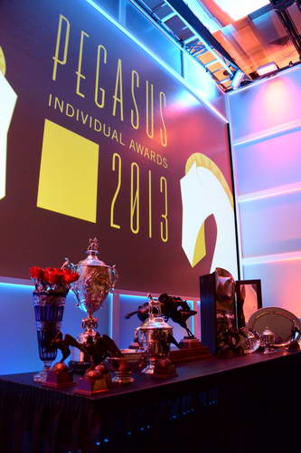 USEF-1-10-14-Pegasus-6392-DDeRosaPhoto