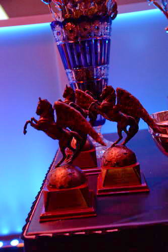 USEF-1-10-14-Pegasus-6399-DDeRosaPhoto