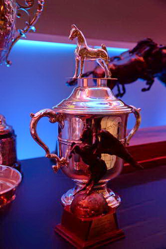 USEF-1-10-14-Pegasus-6401-DDeRosaPhoto