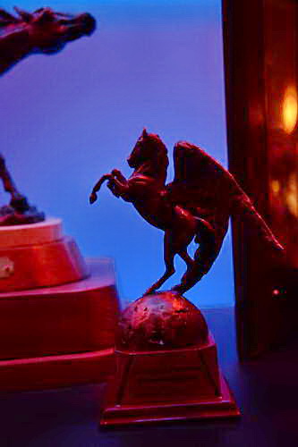 USEF-1-10-14-Pegasus-6404-DDeRosaPhoto