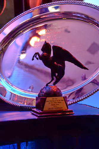 USEF-1-10-14-Pegasus-6411-DDeRosaPhoto