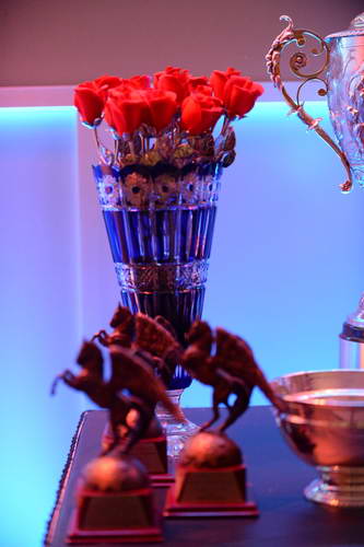 USEF-1-10-14-Pegasus-6418-DDeRosaPhoto