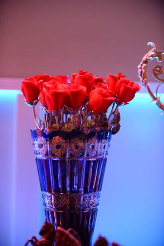 USEF-1-10-14-Pegasus-6419-DDeRosaPhoto