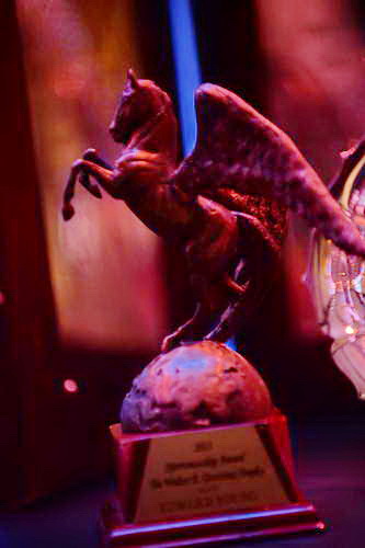 USEF-1-10-14-Pegasus-6434-DDeRosaPhoto