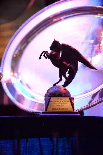 USEF-1-10-14-Pegasus-6440-DDeRosaPhoto