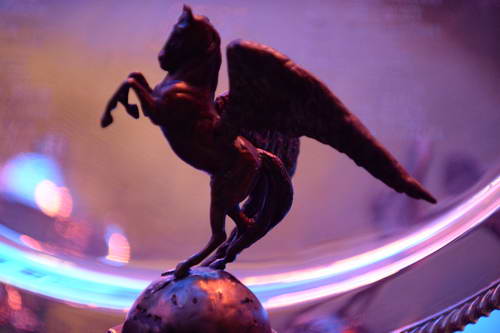 USEF-1-10-14-Pegasus-6441-DDeRosaPhoto