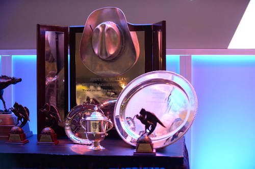 USEF-1-10-14-Pegasus-6446-DDeRosaPhoto