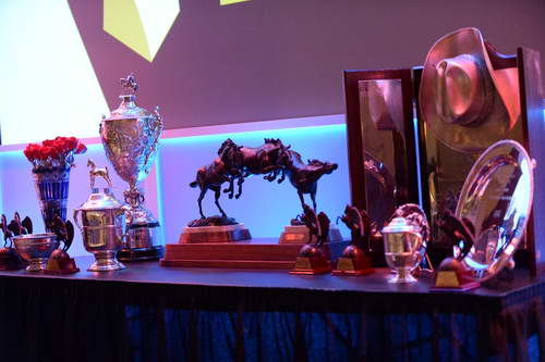 USEF-1-10-14-Pegasus-6447-DDeRosaPhoto