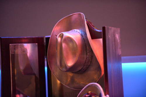 USEF-1-10-14-Pegasus-6451-DDeRosaPhoto