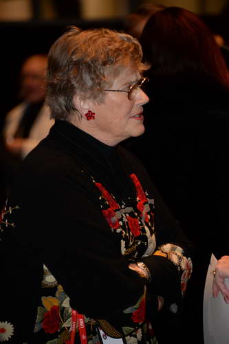 USEF-1-10-14-Pegasus-6469-DDeRosaPhoto