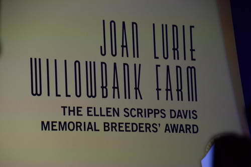 USEF-1-10-14-Pegasus-6606-DDeRosaPhoto