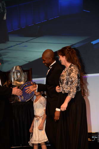 USEF-1-10-14-Pegasus-6678-DDeRosaPhoto