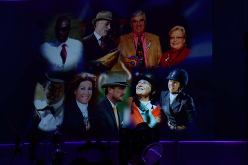 USEF-1-10-14-Pegasus-6787-DDeRosaPhoto