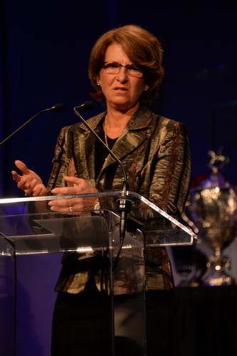 USEF-1-10-14-Pegasus-6804-DDeRosaPhoto