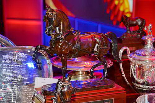 USEF-1-11-14-7030-DDeRosaPhoto