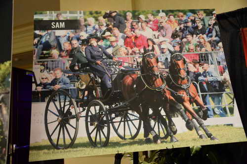 USEF-1-11-14-7044-DDeRosaPhoto