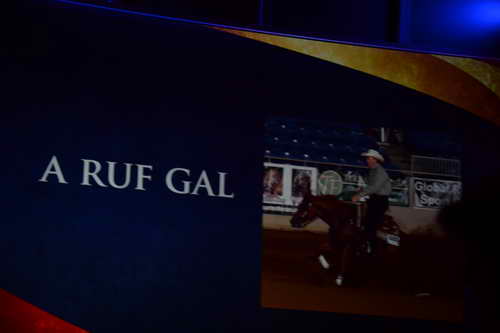 USEF-1-11-14-7337-DDeRosaPhoto