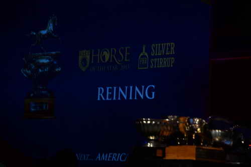 USEF-1-11-14-7346-DDeRosaPhoto