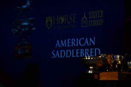 USEF-1-11-14-7347-DDeRosaPhoto