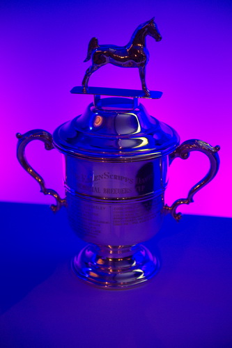 USEF-1-16-15-8412-DDeRosaPhoto