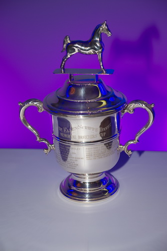 USEF-1-16-15-8428-DDeRosaPhoto