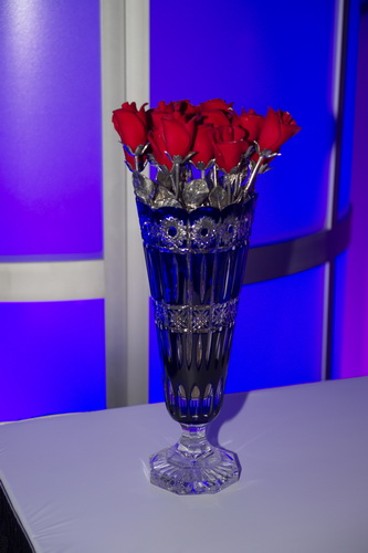 USEF-1-16-15-8430-DDeRosaPhoto