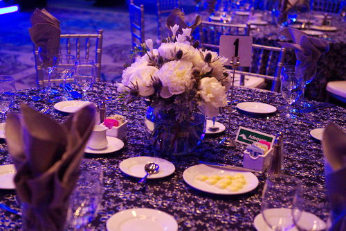 USEF-1-16-15-8441-DDeRosaPhoto