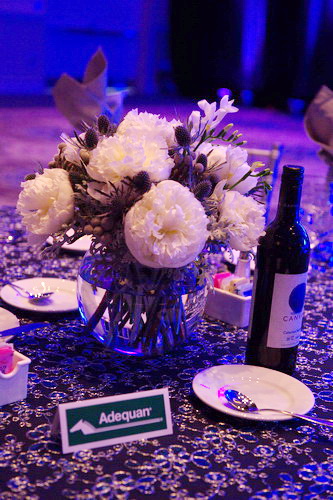 USEF-1-16-15-8444-DDeRosaPhoto