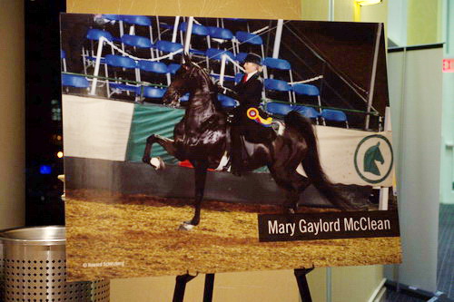 USEF-1-16-15-8459-DDeRosaPhoto